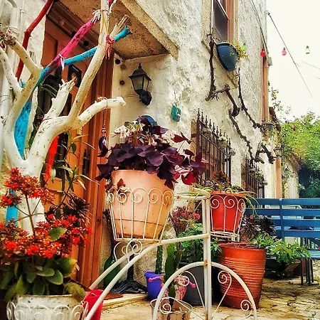 Lilyum Butik ホテル アラカティ