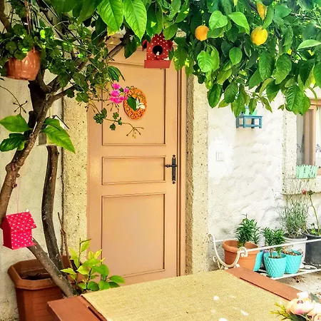 Lilyum Butik アラカティ